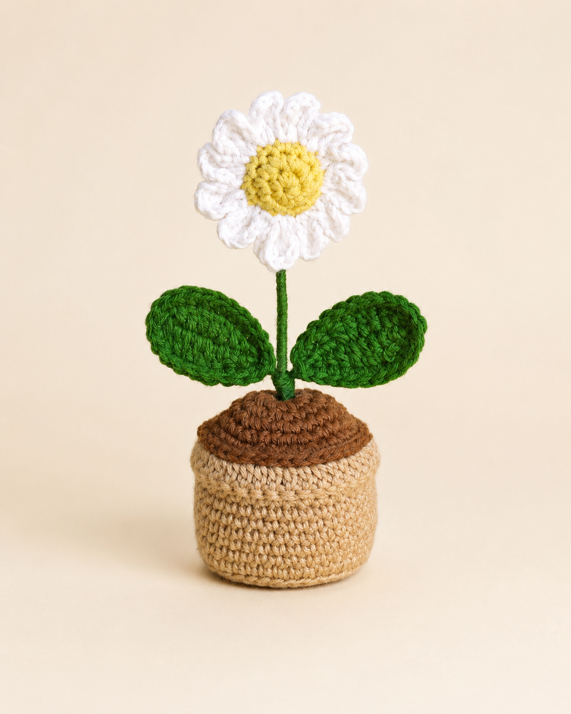 Crocheted Daisy in a small beige pot 1