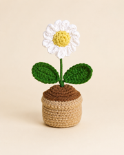 Crocheted Daisy in a small beige pot 1