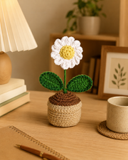 Crocheted Daisy in a small beige pot 2