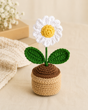 Crocheted Daisy in a small beige pot 3